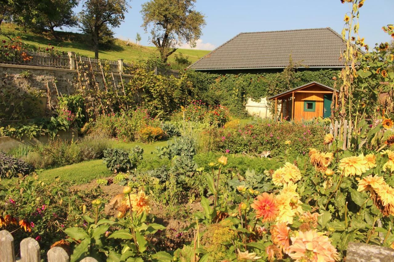 Appartamento Urlaub Am Zechnerhof Straßburg in Kärnten Esterno foto